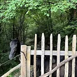 Gaztandizabal בית כפרי