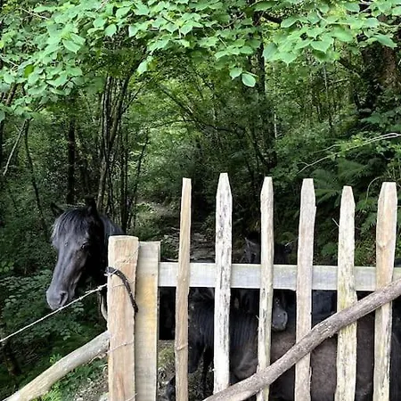 Gaztandizabal Séjour à la campagne