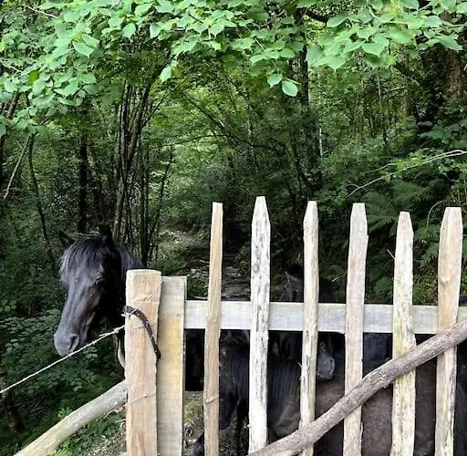 Gaztandizabal Εξοχικό σπίτι